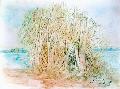 Balaton (linkarc-akvarell)  18x24